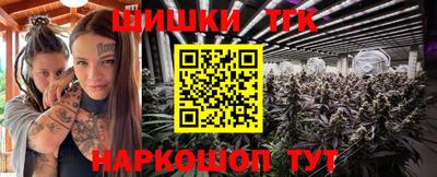 ешки Гатчина