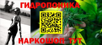тгк Гай