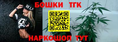 тгк Гай