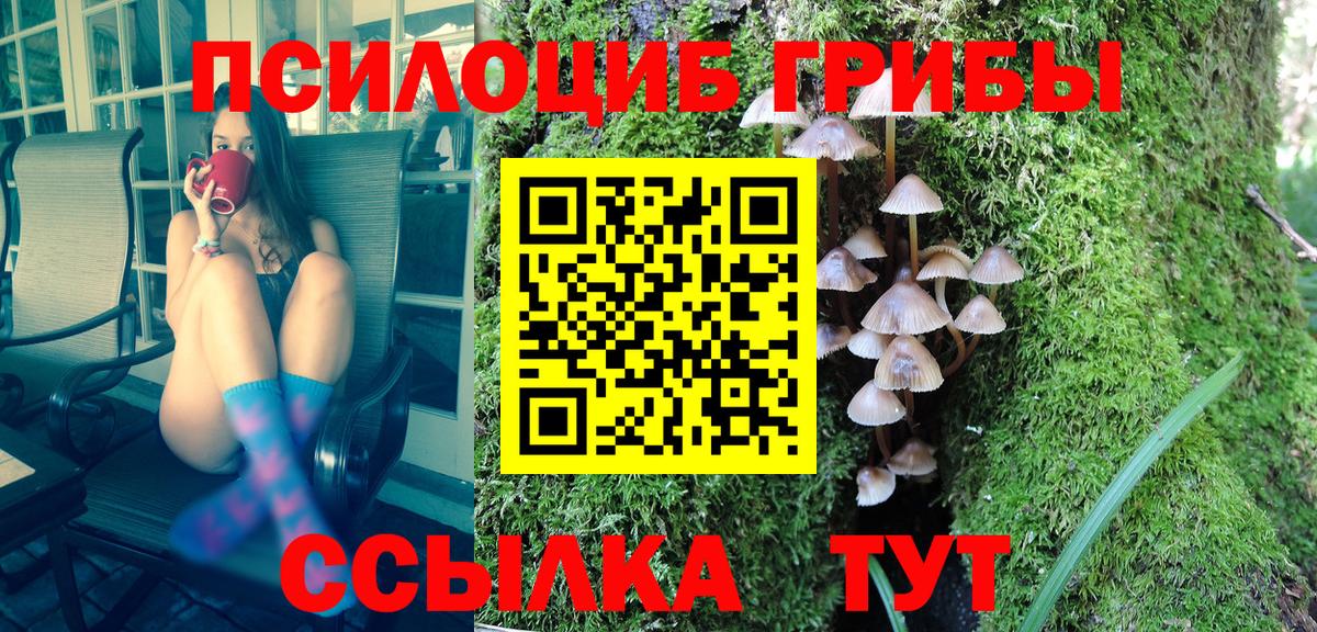 Галлюциногенные грибы GOLDEN TEACHER Нальчик