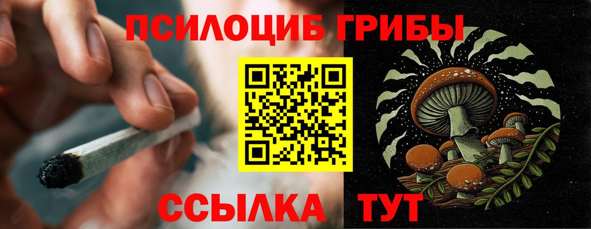 Галлюциногенные грибы MAGIC MUSHROOMS  Вход с VPN  Нальчик 